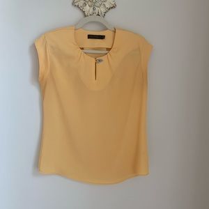 The Limited Blouse